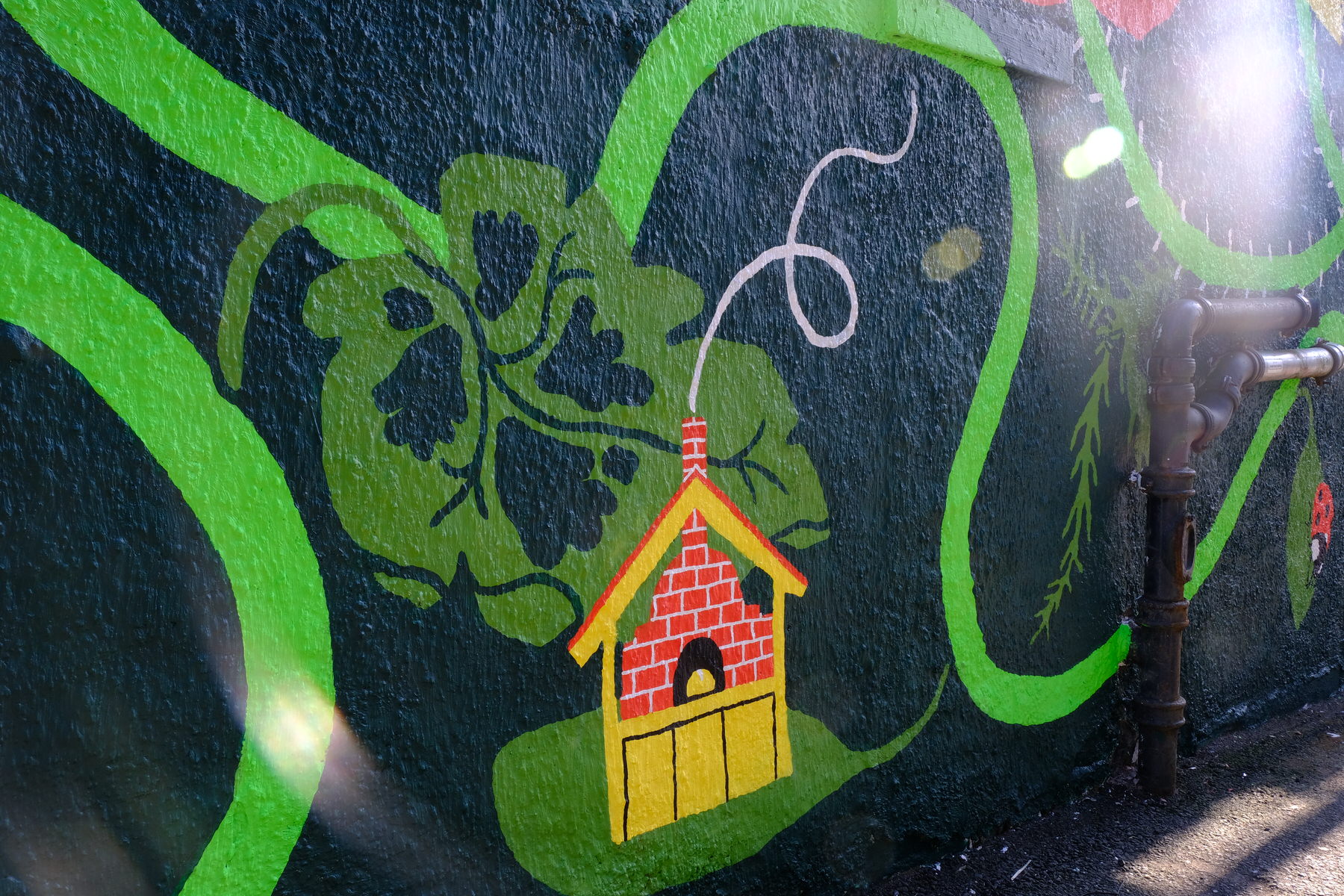 Image shows the Reid Lane mural graffiti with a community garden theme. The artwork contains local community garden flowers and many animals including snails, birds, ladybirds and cats. Mural by Ida Henrich